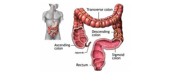 An image of Colon Care goes here.